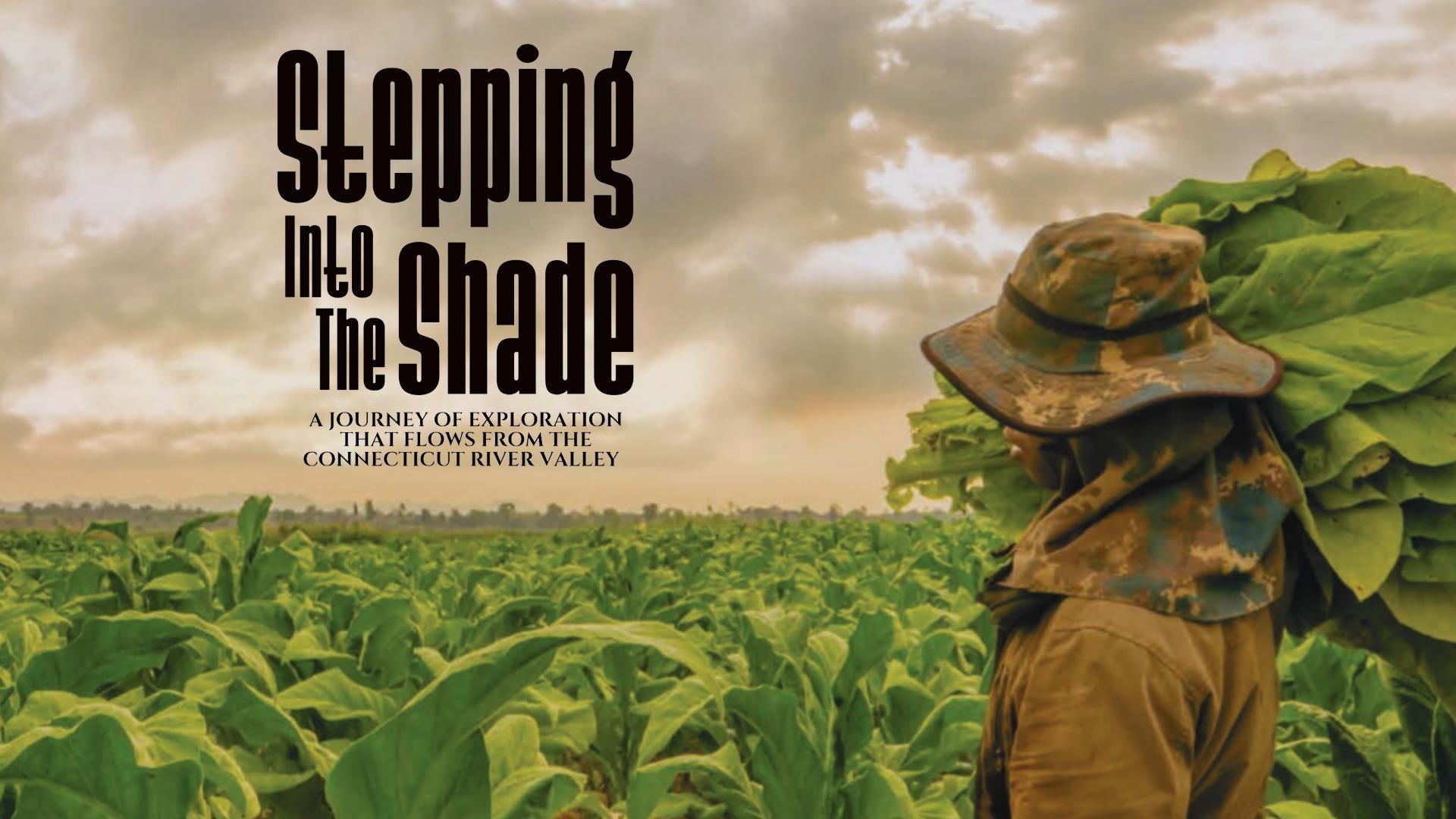 tobacco money feeds my family Stepping Into the Shade