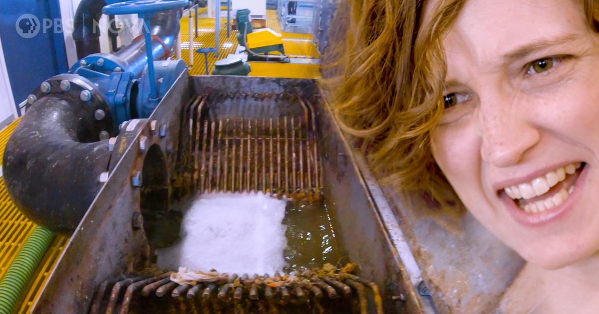 Antarctic Extremes | Where Does the Poop in Antarctica Go? | Episode 6