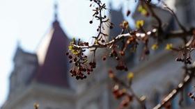 Video thumbnail: New York NOW MERIT Scholarship Expanded After GOP Pushback