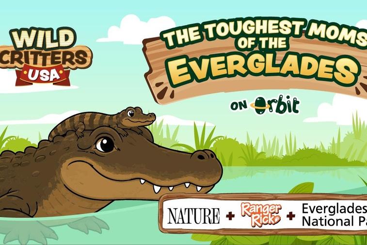 The Toughest Moms of the Florida Everglades | Wild Critters USA Poster