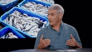 Ecomodernism vs Degrowth