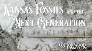 Kansas Fossils and a New Generation