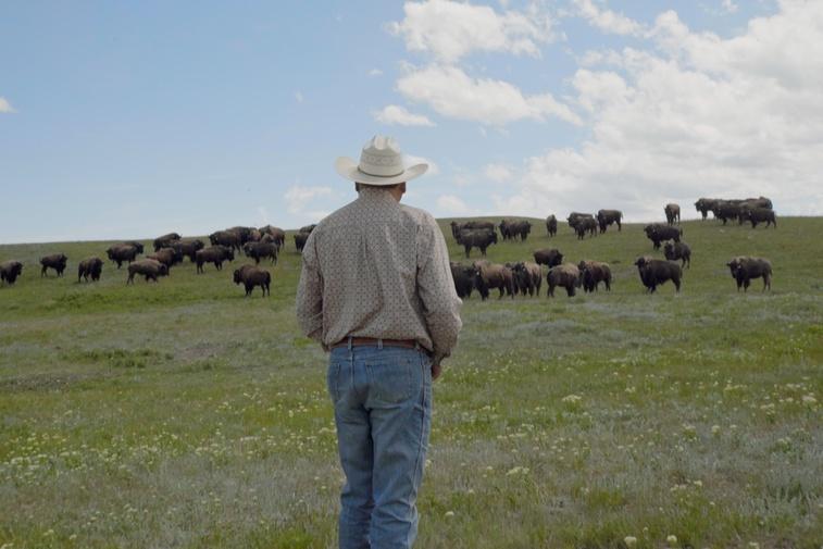 Bring Them Home Poster