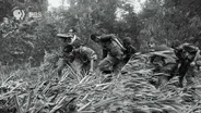 Reporters in Vietnam