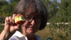 Video thumbnail: Farm to Fork Wyoming Food Forests