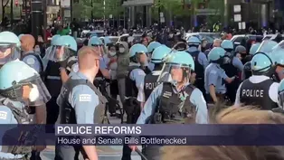 Congressional Panel Part 2: COVID-19, Police Reform