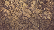 Bioclimatologist Park Williams: Cool Drought