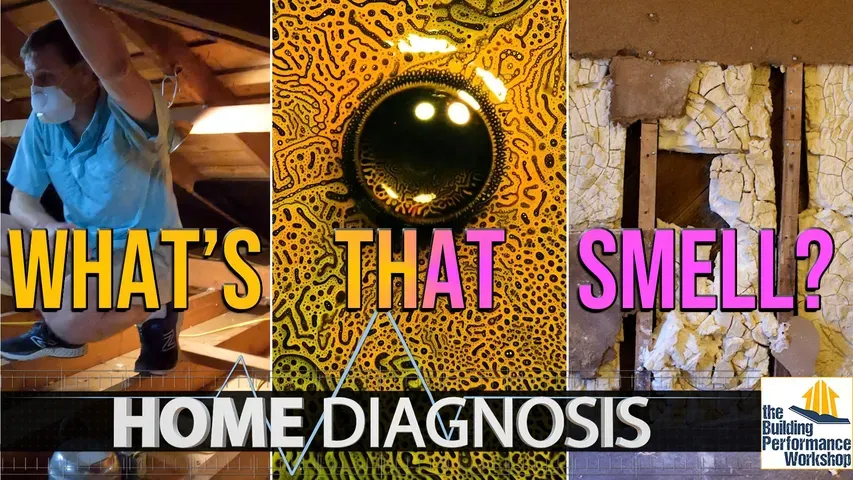 Home Diagnosis