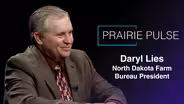 Prairie Pulse: Daryl Lies and Viking Age Textiles