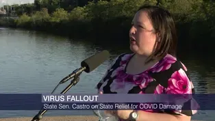 State Sen. Castro on State Relief for COVID-19 Damage