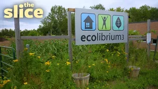 Visit Duluth's Urban Farm
