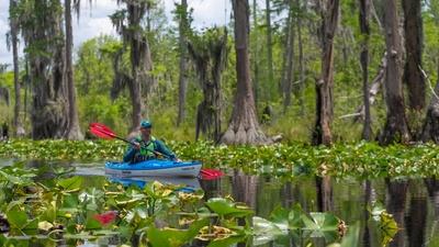 Kayaking the Okefenokee National Wildlife Refuge