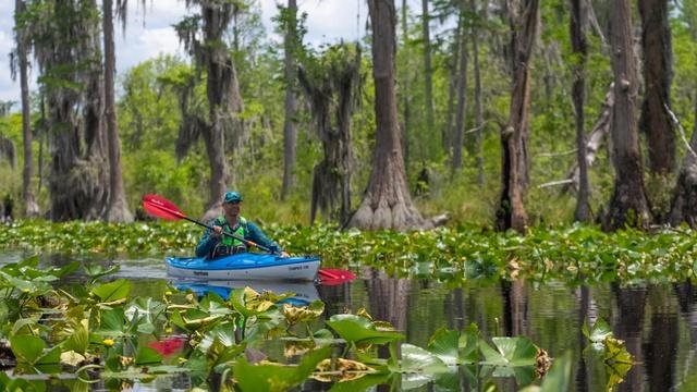 Kayaking the Okefenokee National Wildlife Refuge