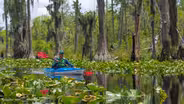 Kayaking the Okefenokee National Wildlife Refuge