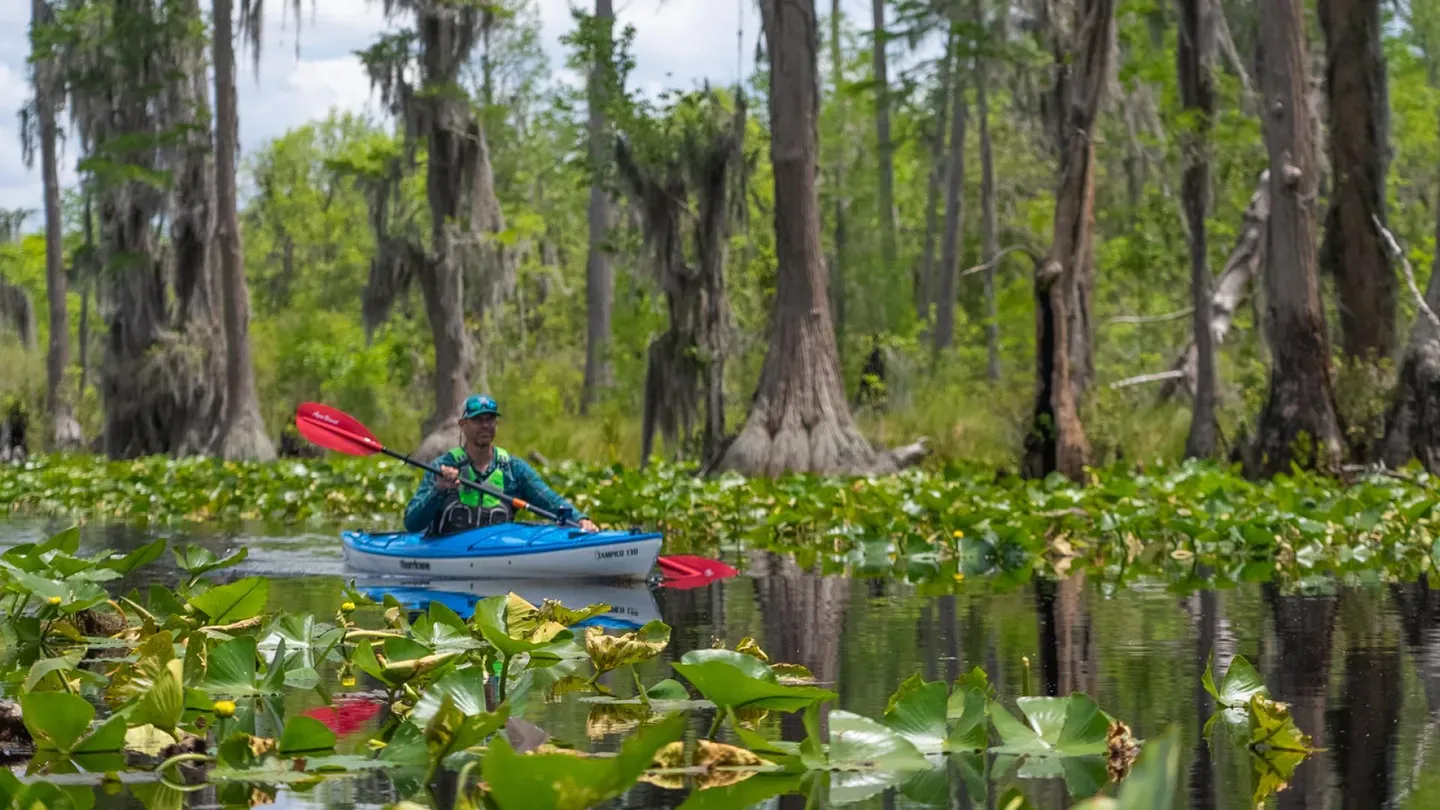 Kayaking the Okefenokee National Wildlife Refuge