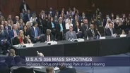 U.S. Senators Focus on Highland Park in Gun Hearing