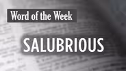 S02 E06: Salubrious