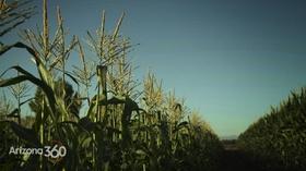 Video thumbnail: Arizona 360 Immigration Surge & Public Health; Farming Challenges; Teen