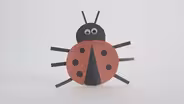 How to Make a 10-Minute Paper Ladybug Craft