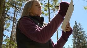 Video thumbnail: ARTEFFECTS Local Feature: Episode 504