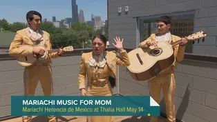 Pilsen Mariachi Concert Honors Mothers