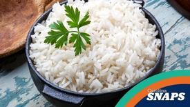 Rice in South Carolina: asset-mezzanine-16x9