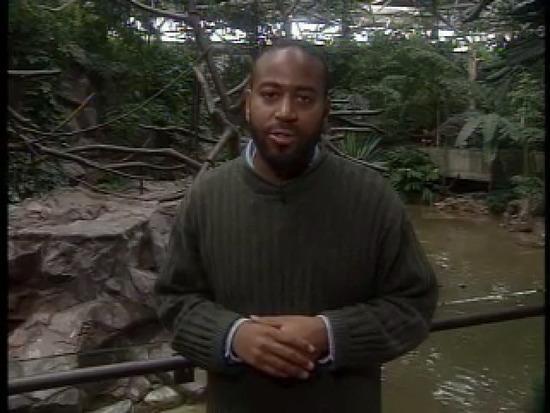 March 21, 1997