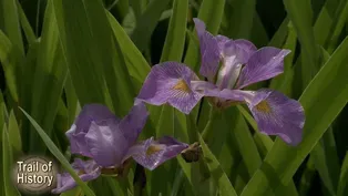 Trail of History - Gardens