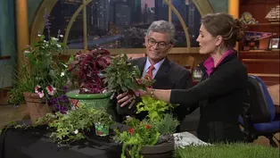 Spring Gardening Tips: Thrill, Fill and Spill