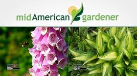 Video thumbnail: Mid-American Gardener November 1, 2018 - Mid-American Gardener