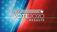 Primary Results 2020