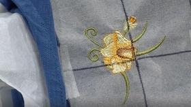 Video thumbnail: The Best of Sewing with Nancy Best of SWN: Machine Embroidery in 6 Easy Lessons Part 2