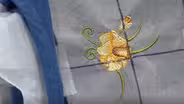 Best of SWN: Machine Embroidery in 6 Easy Lessons Part 2