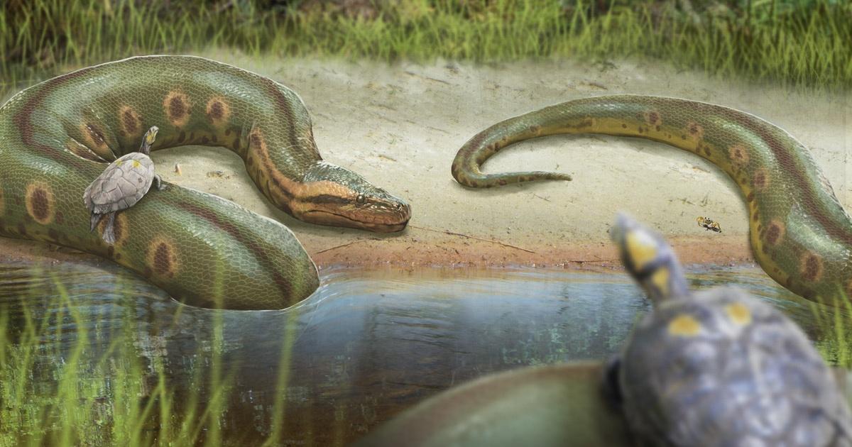 Anaconda : The biggest Snake – Apps no Google Play