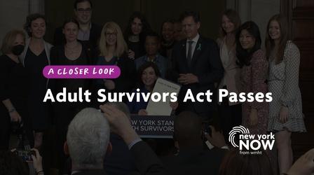 Video thumbnail: New York NOW A Closer Look: Adult Survivors Act
