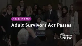A Closer Look: Adult Survivors Act