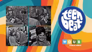 Teen Beat 1