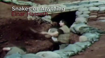Video thumbnail: Vietnam Echoes Snakes or Anything
