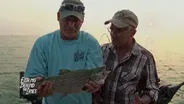 Preview - Best of the Rest