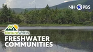 Fresh Water Communities