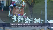 Mental Health Toll: 3/4 of Americans Fear Mass Shootings
