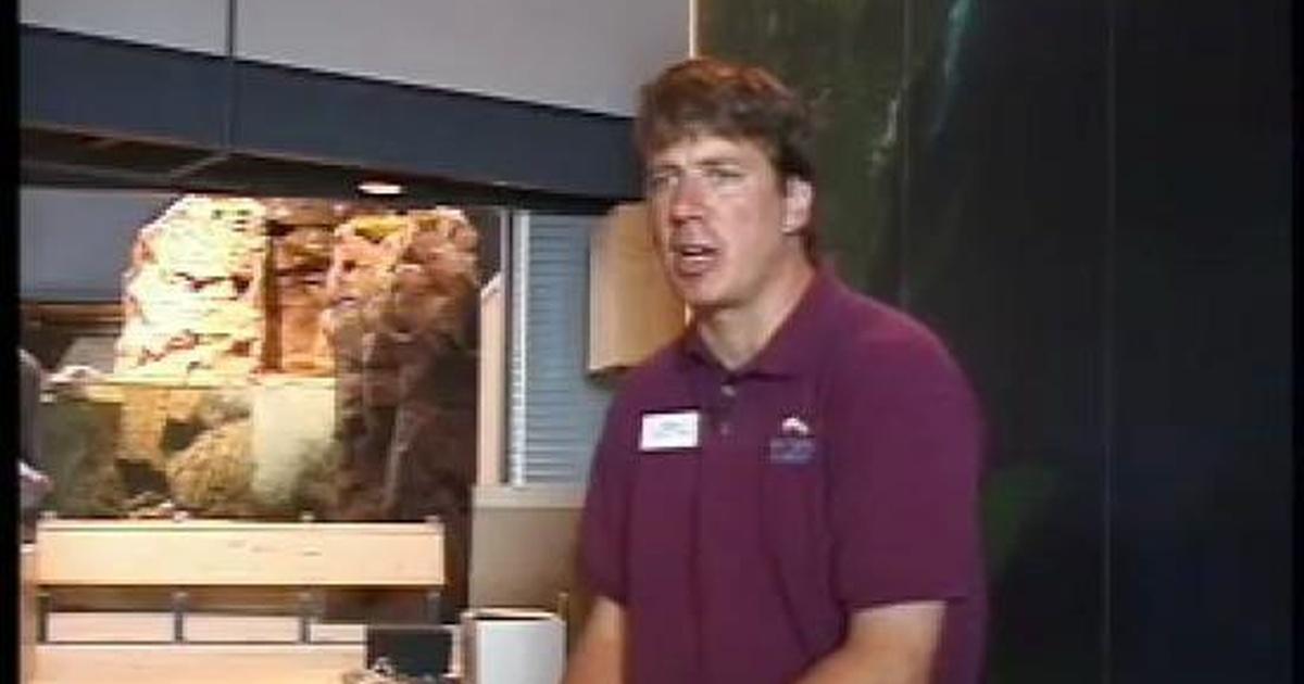 NewsNight Minnesota DULUTH AQUARIUM Season 2000 Episode 187 PBS