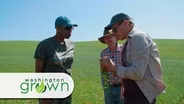 Pulse of the Palouse