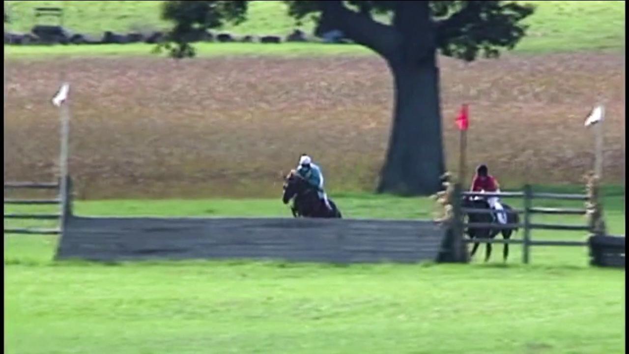 Steeplechase at Canterbury