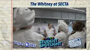 Go inside SECTA’s “The Whitney”