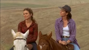 Ep. 5: Taking the Reins