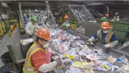 Green Seeker: Recycle Right?