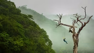Who's Stealing the Water from the Rainforest?