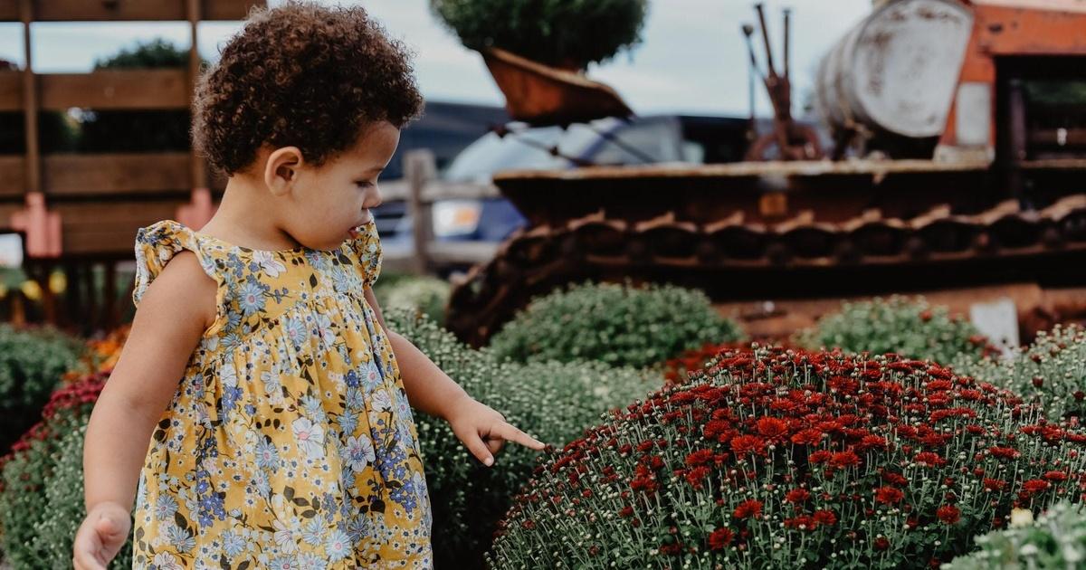 Bay area bountiful | bay area bountiful: gardening & community | season 1