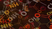 Toxic Futures: Untold Stories of Chemical Pollution